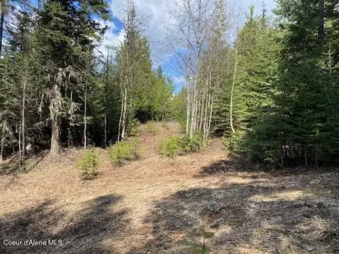 Forested Recreation Land with Views