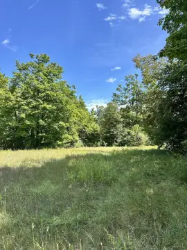 Hunting Land Near ORV Trails