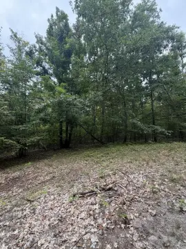 Wooded Hunting Land