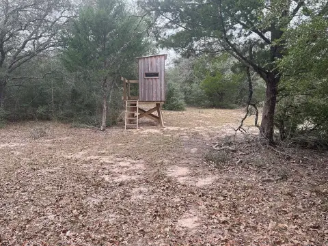 Secluded Wooded Acreage for Recreation