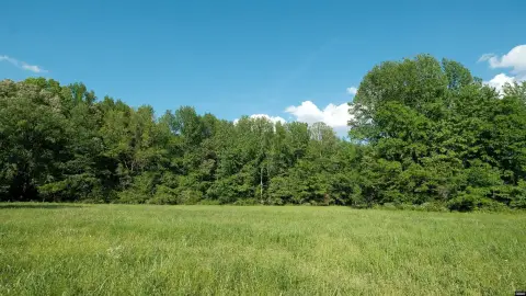 Highway 22 Land with Timber