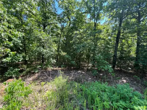 Land in Quiet Yellville Subdivision