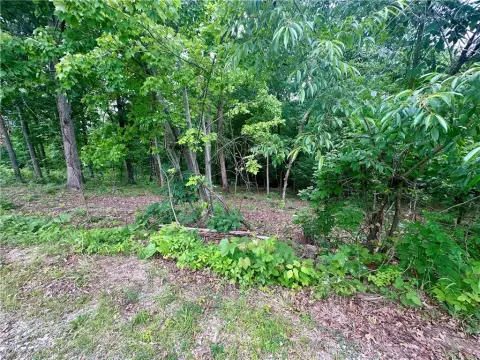Bella Vista Residential Lot