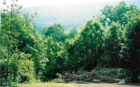 Mineral Rights Tract