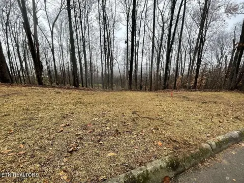 Residential Lot in Sweetwater, TN