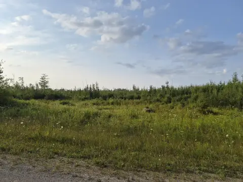 Hunting Land with Camp Areas