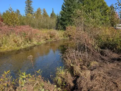 Riverfront Land Parcel
