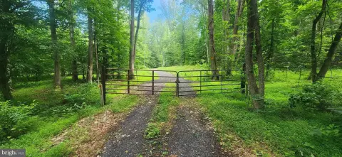 Wooded Land Tract with Percs