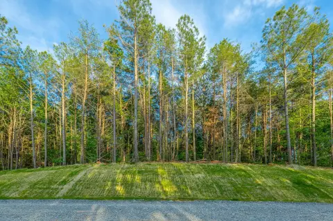 Wooded Homesite in River Gorge