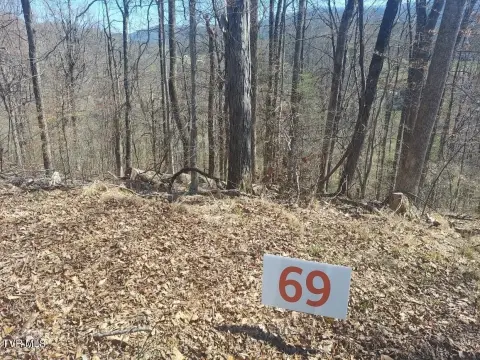 Land in Growing Unicoi Area