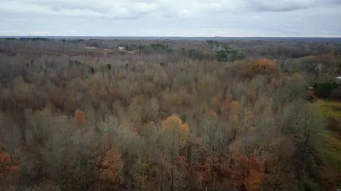 Hunting Land with Farm Shop
