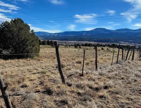 River Island Ranch Land