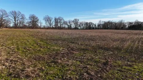 Undeveloped Land For Sale