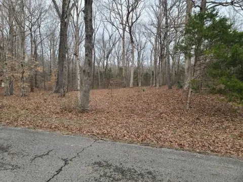 Residential Lot Near Boat Launch