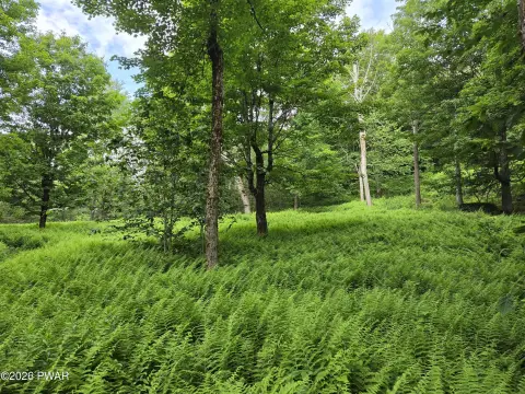 Hunting Land with Farmhouse