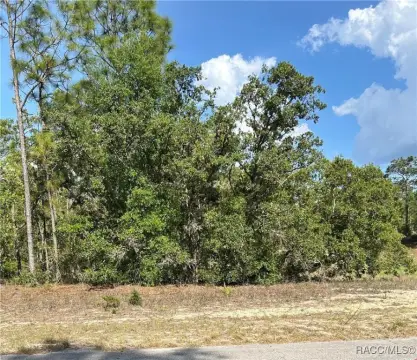 Residential Land in Citrus Springs