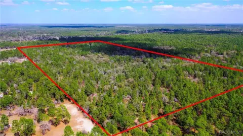 81+ Acres Untouched Florida Land