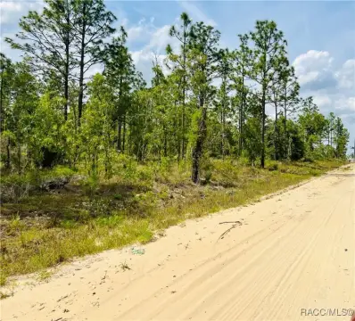 Williston, FL 10-Acre Land Tract