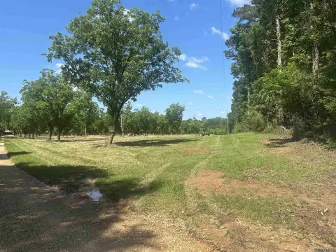 Pecan Orchard Farmland