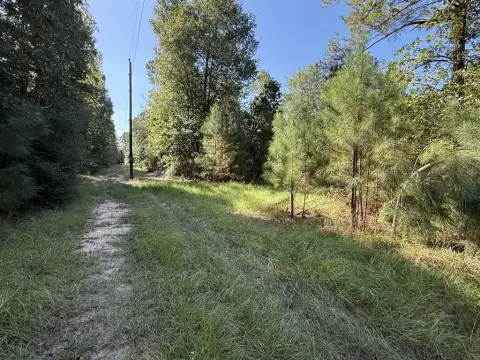 Wooded Hunting Land