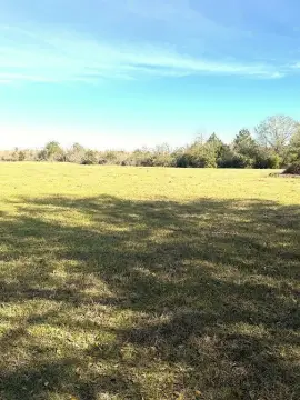 Recreational Land Tract with Creek