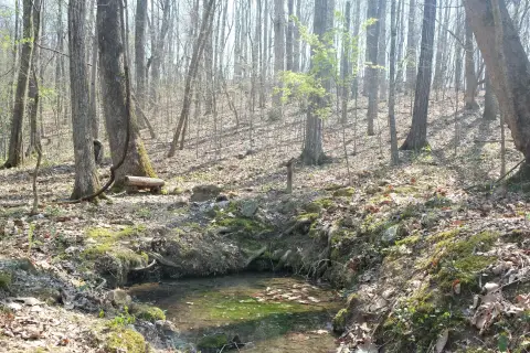 44 Acres in Spring City