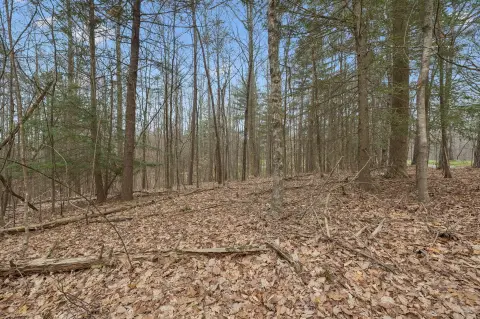 Wooded Lot in Overton Retreat