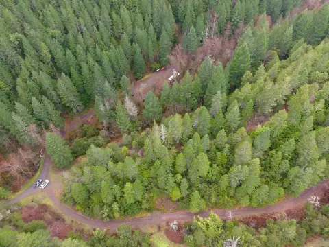 320-Acre Forested Land Parcel