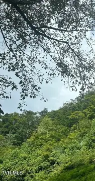 Wooded Residential Land