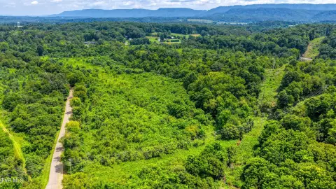 Wooded Land with Creek Setting
