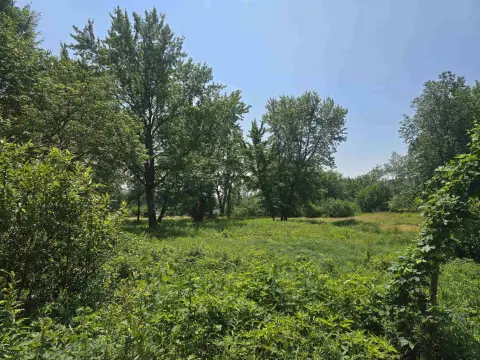 Land with Waterfront on Braggs