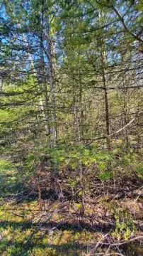 Residential Land in Presque Isle