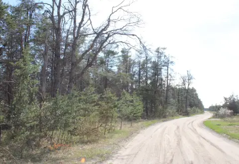 Vacant Land Near Lewiston, MI