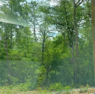 Wooded Lot in Crystal River