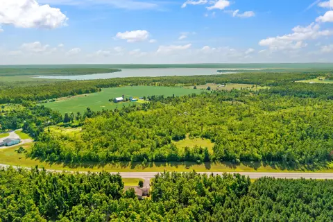 Wooded Hunting Land