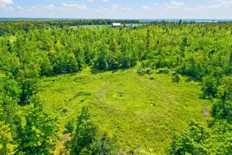Wooded Recreation Land