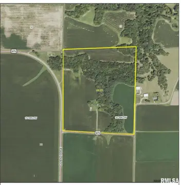 Productive Farm with Hunting Potential