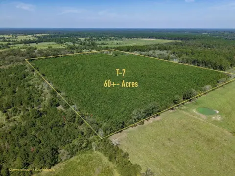 Pine Plantation Recreation Land