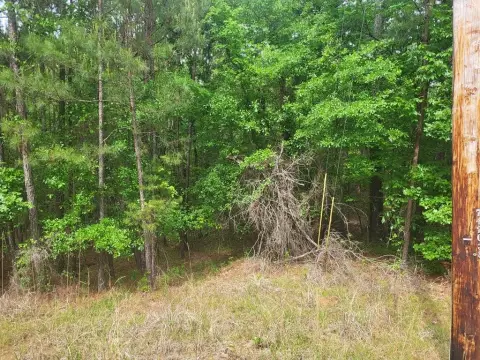 Half Acre Lot Near Lake