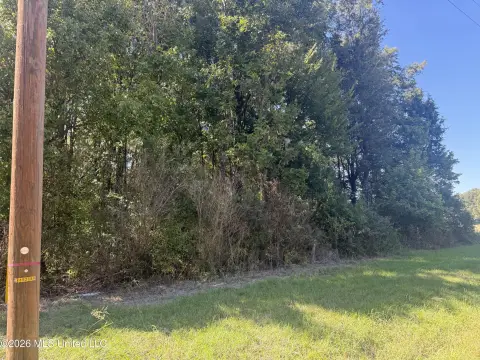 Treed Land Parcel