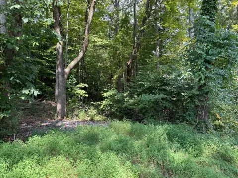 64 Acres in Dayton, TN