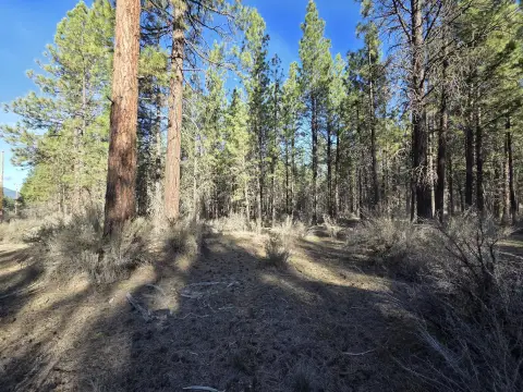 Land Parcel in Sprague River