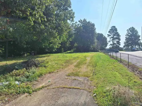 Commercial Land with Marketable Trees