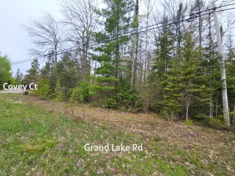 Wooded Lot in Presque Isle