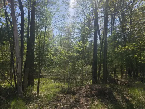 Land Near Lake Huron Access