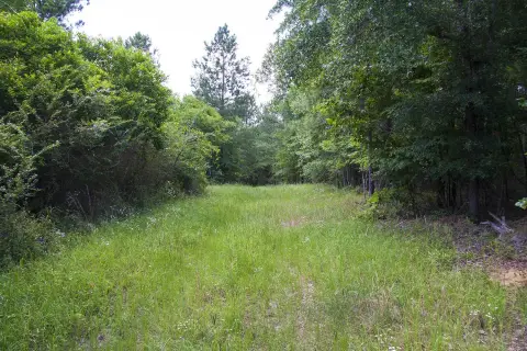 Hephzibah, GA Land Tract