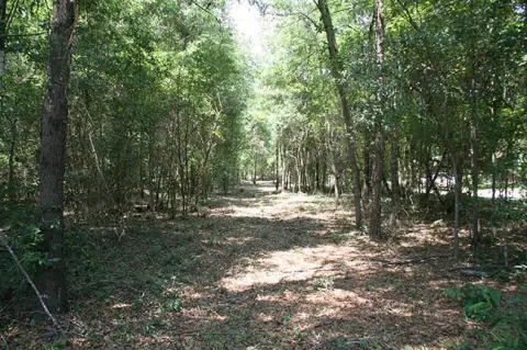 Hephzibah Land For Sale
