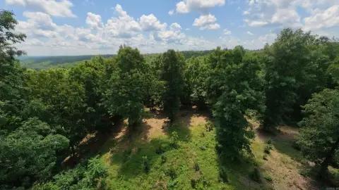 Wooded Hunting and Recreation Tract