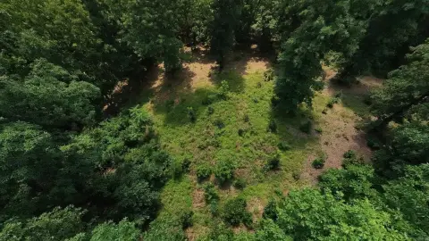 Recreational Hunting Tract