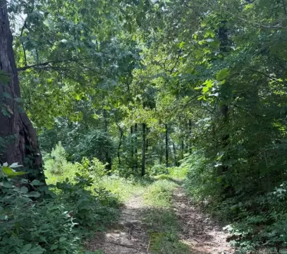 Hunting Land on Crowley's Ridge